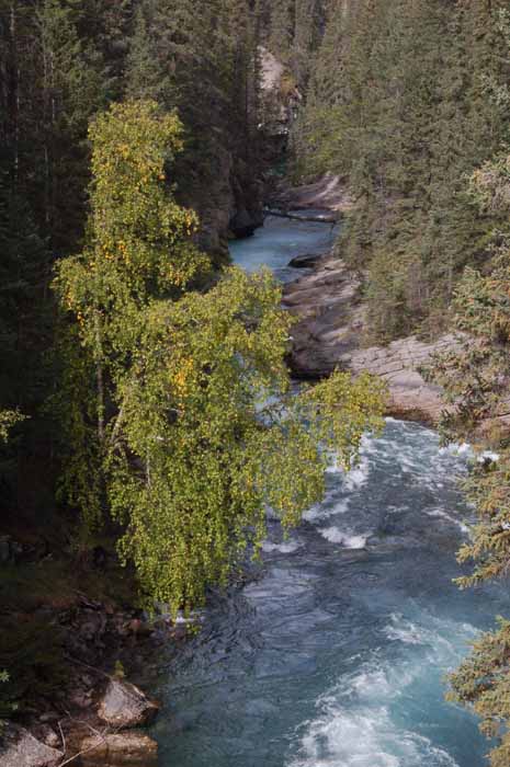 Maligne Canyon